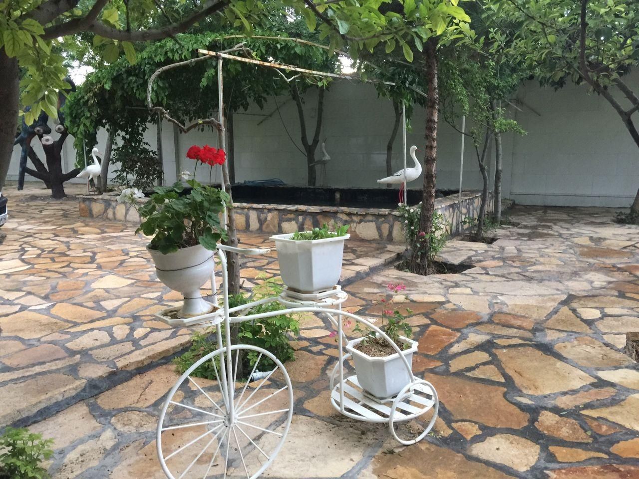 اجاره باغ ویلا جنگلی/ فول تایم/فرخد|اجارهٔ کوتاه‌مدت ویلا و باغ|مشهد, خواجه ربیع|دیوار