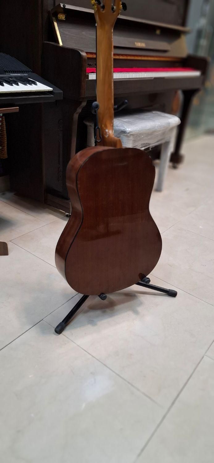 گیتار کلاسیک هافنر ( آموزشگاه موسیقی سینا )|گیتار، بیس، امپلیفایر|پردیس, فاز ۲|دیوار