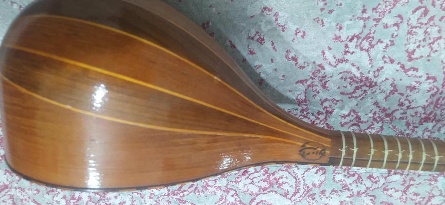 سه تار خزان|سازهای سنتی|شاهین‌شهر, نظامی|دیوار