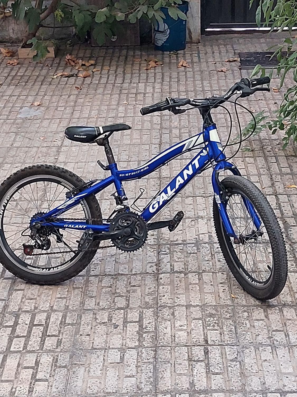 دوچرخه|دوچرخه، اسکیت، اسکوتر|قدس, شهرقدس|دیوار