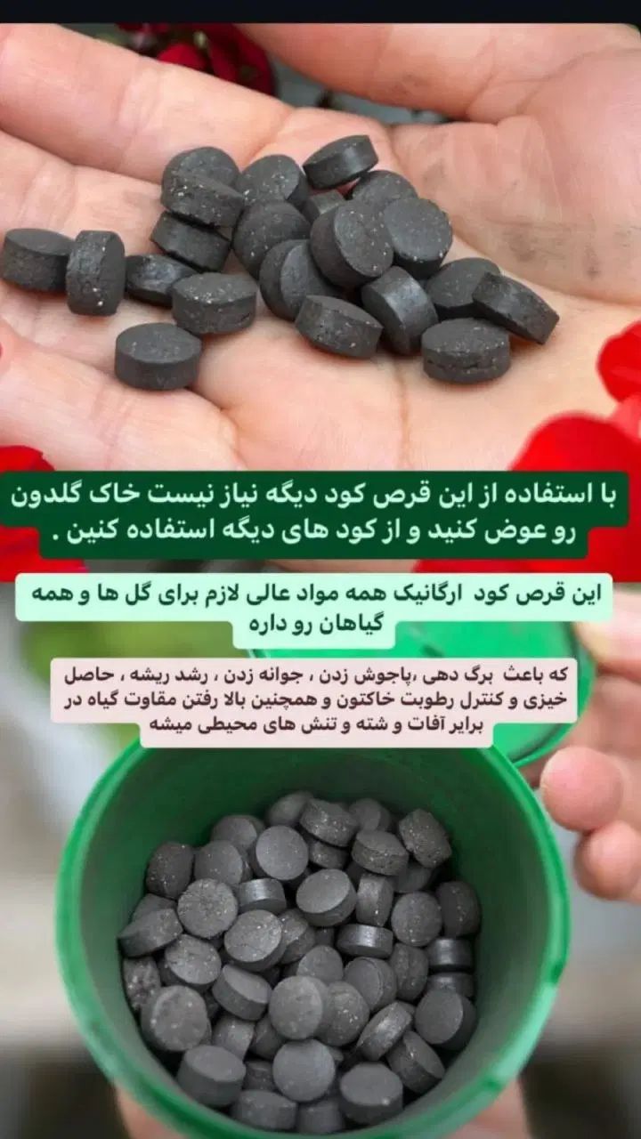 قرص کودارگانیک گل وگیاه آپارتمانی|گل و گیاه طبیعی|تهران, کاج|دیوار