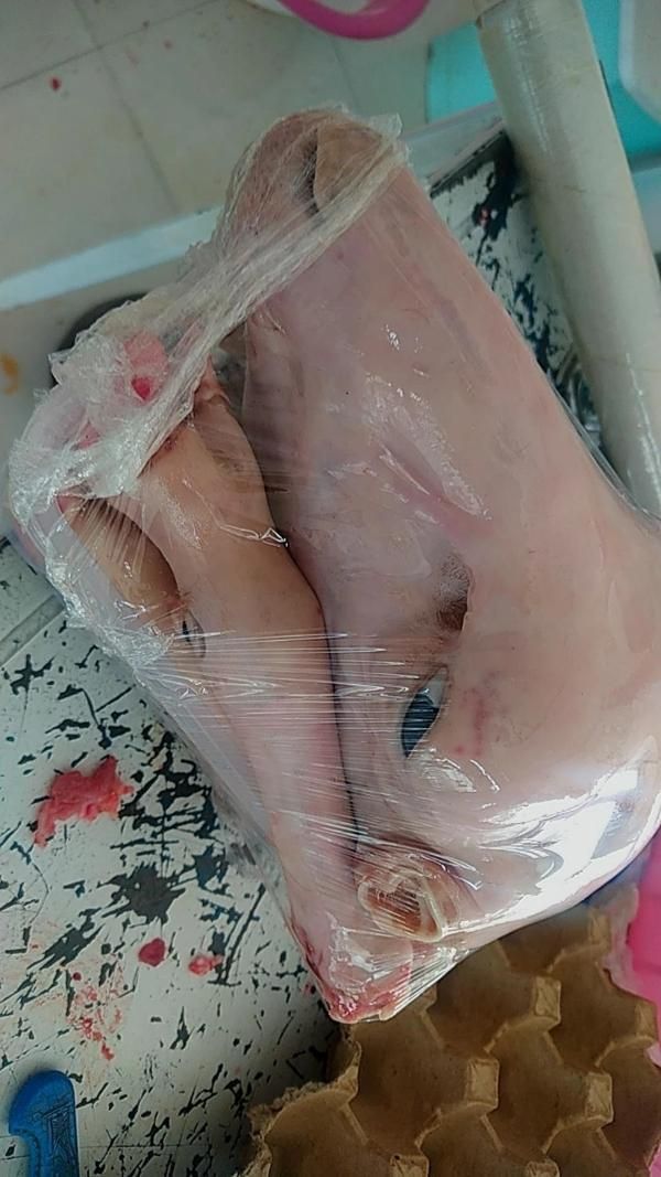 گوشت بره نرینه درجه یک کیلویی 630|عمدهفروشی|بجنورد, |دیوار