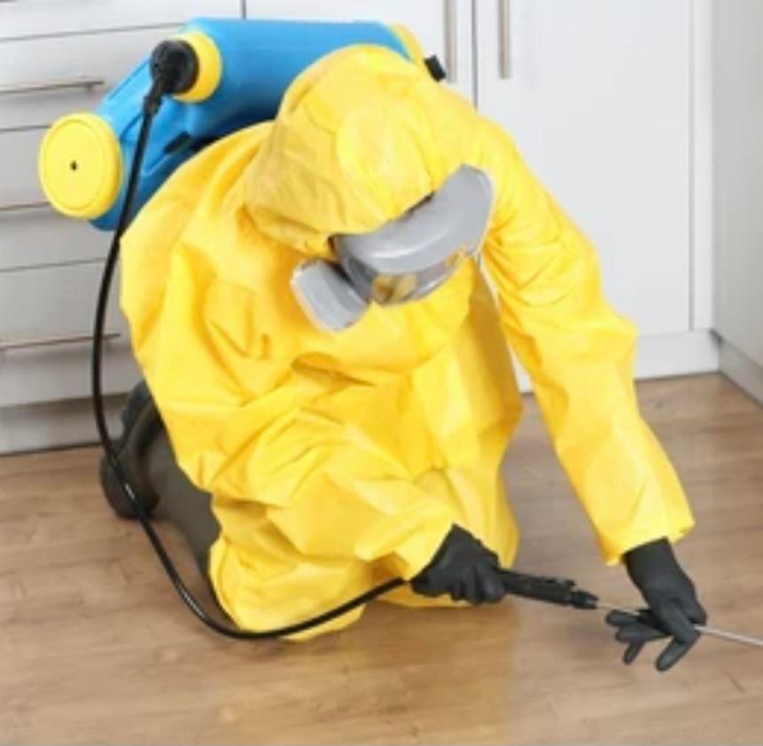 سمپاشی(شبانه روزی)موریانه سوسک ساس سم پاشی/تضمینی|خدمات نظافت|اهواز, کوی فرهنگیان ۱|دیوار