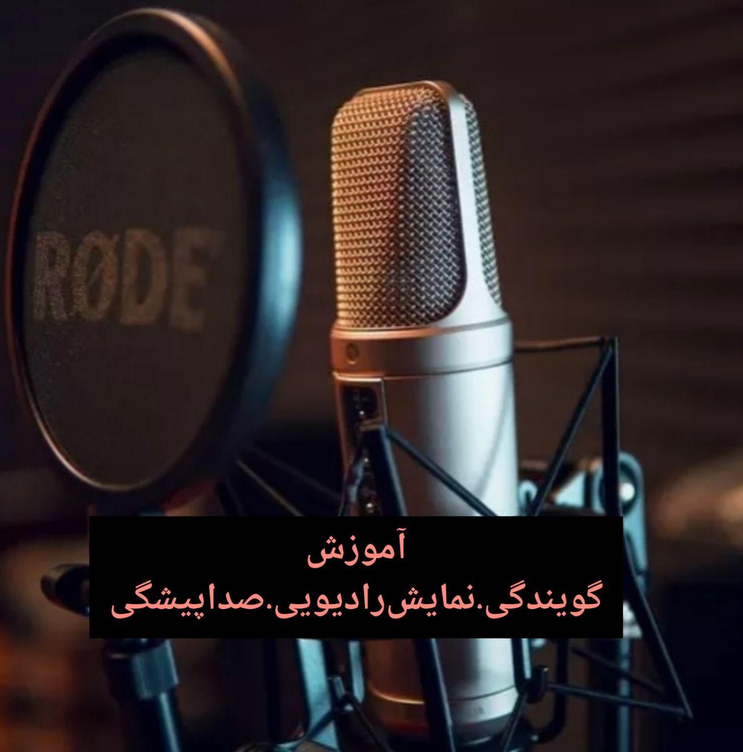 آموزش گویندگی و صداپیشگی حرفه‌ای|خدمات آموزشی|بهنمیر, |دیوار