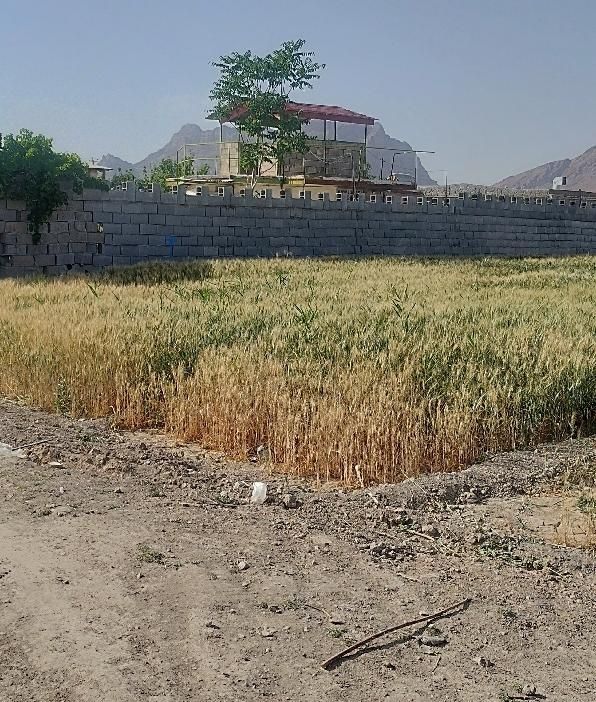زمین کشاورزی ۱۰۰۰متری مناسب باغ و ویلا سازی.|فروش زمین و ملک کلنگی|پیر بکران, |دیوار