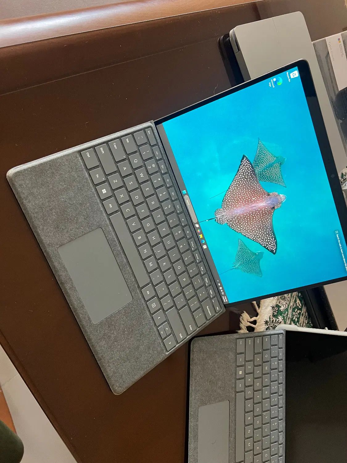 سرفیس پرو 8 (Surface Pro 8)+کیبورد اصلی +قلم اصلی|رایانه همراه|کرج, گوهردشت|دیوار
