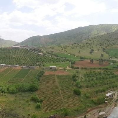 استخدام نیروی پارک نیشتمان بهاران|استخدام صنعتی، فنی، مهندسی|سنندج, |دیوار