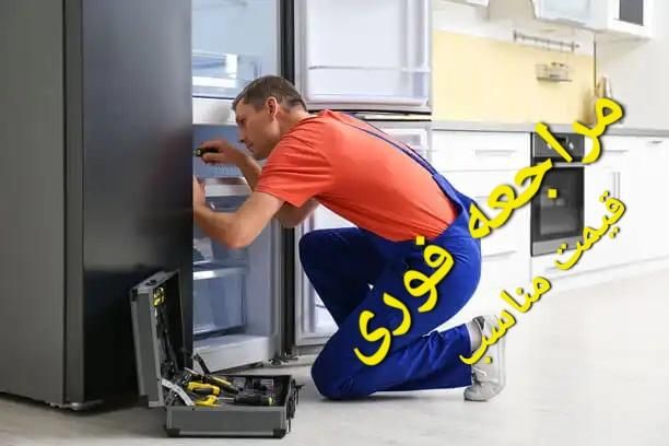 نصب تعمیر ساید یخچال لباسشویی ظرفشویی ماکرو فیلتر|خدمات پیشه و مهارت|تهران, صادقیه|دیوار