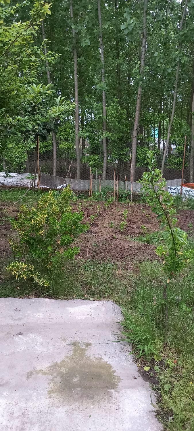 فروش ویلا با زمین ۲۵۰متری از املاک ابوالفضل بخرید|فروش خانه و ویلا|رودبنه, |دیوار