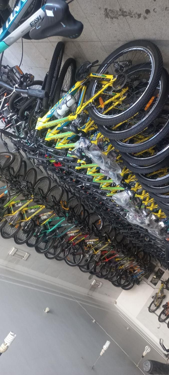 دوچرخه ۲۰ المپیا ردبول کلاجدار|دوچرخه، اسکیت، اسکوتر|یزد, |دیوار