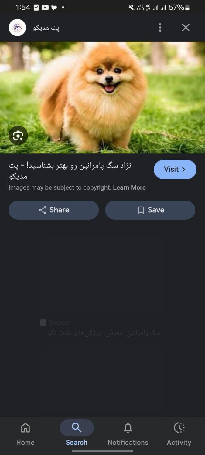 واگذاری سگ|سگ|کرمانشاه, |دیوار