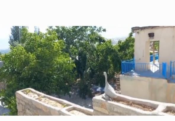 اجاره روزانه/ سوییت باغ سنتی در مرکز و بلندی شهر|اجارهٔ کوتاه‌مدت آپارتمان و سوئیت|سمیرم, |دیوار