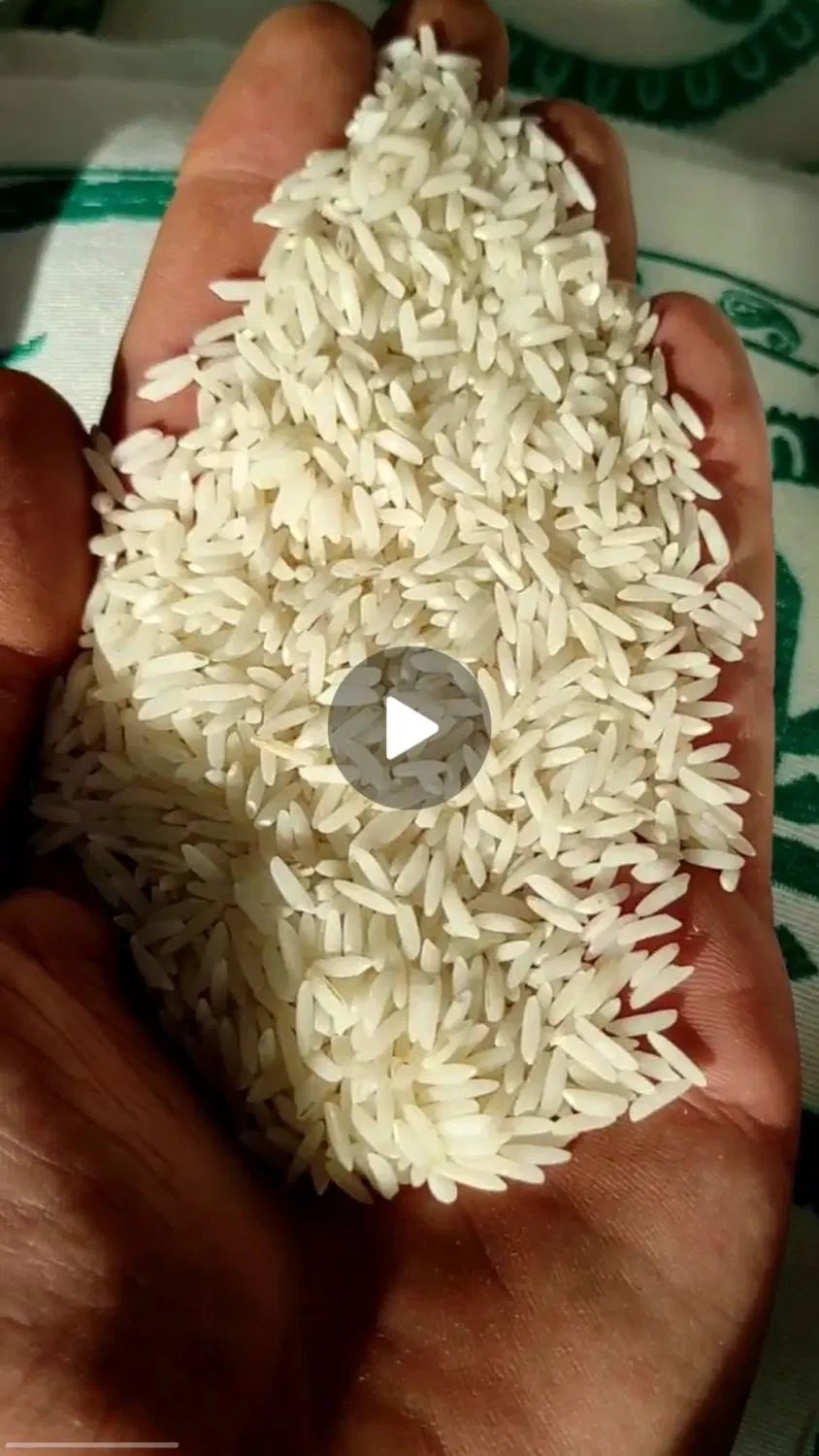 فروش برنج امساله طارم خالص درجه یک میدان کشاورز|خوردنی و آشامیدنی|سمنان, |دیوار