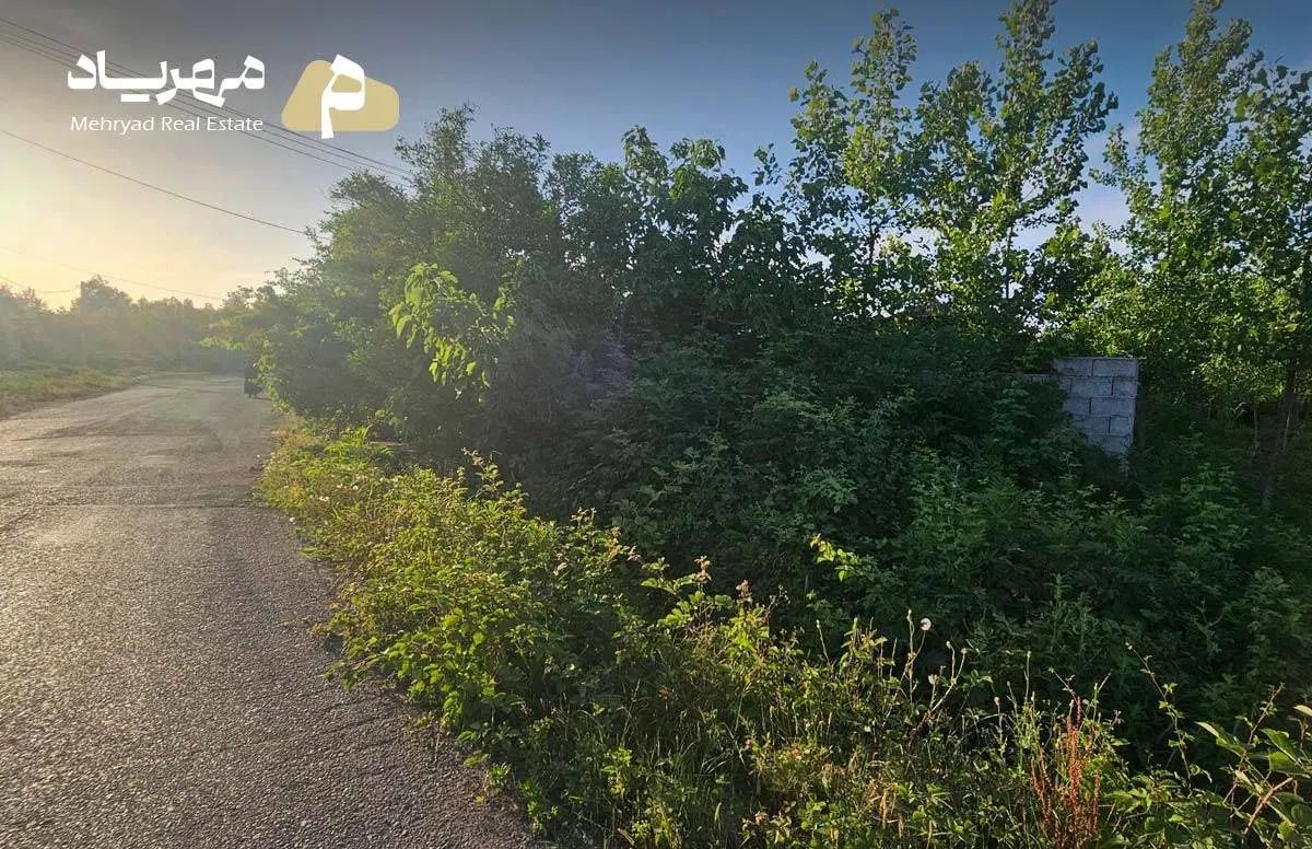 1300متر زمین مسکونی با سند قطعی در رشت چولاب|فروش زمین و ملک کلنگی|لولمان, |دیوار