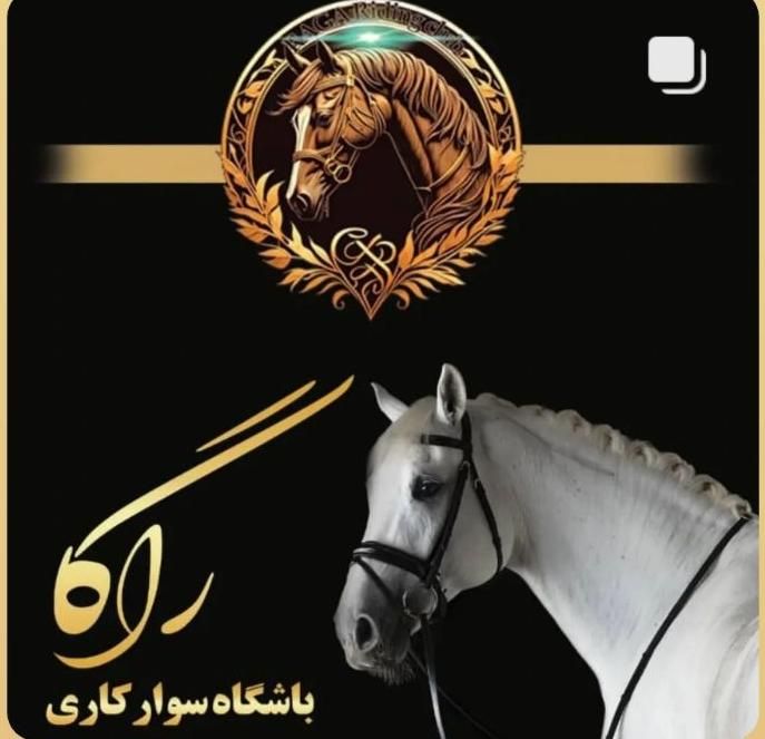 پانسیون اسب و نگهداری|اسب و تجهیزات اسب‌سواری|ری, فیروزآبادی|دیوار