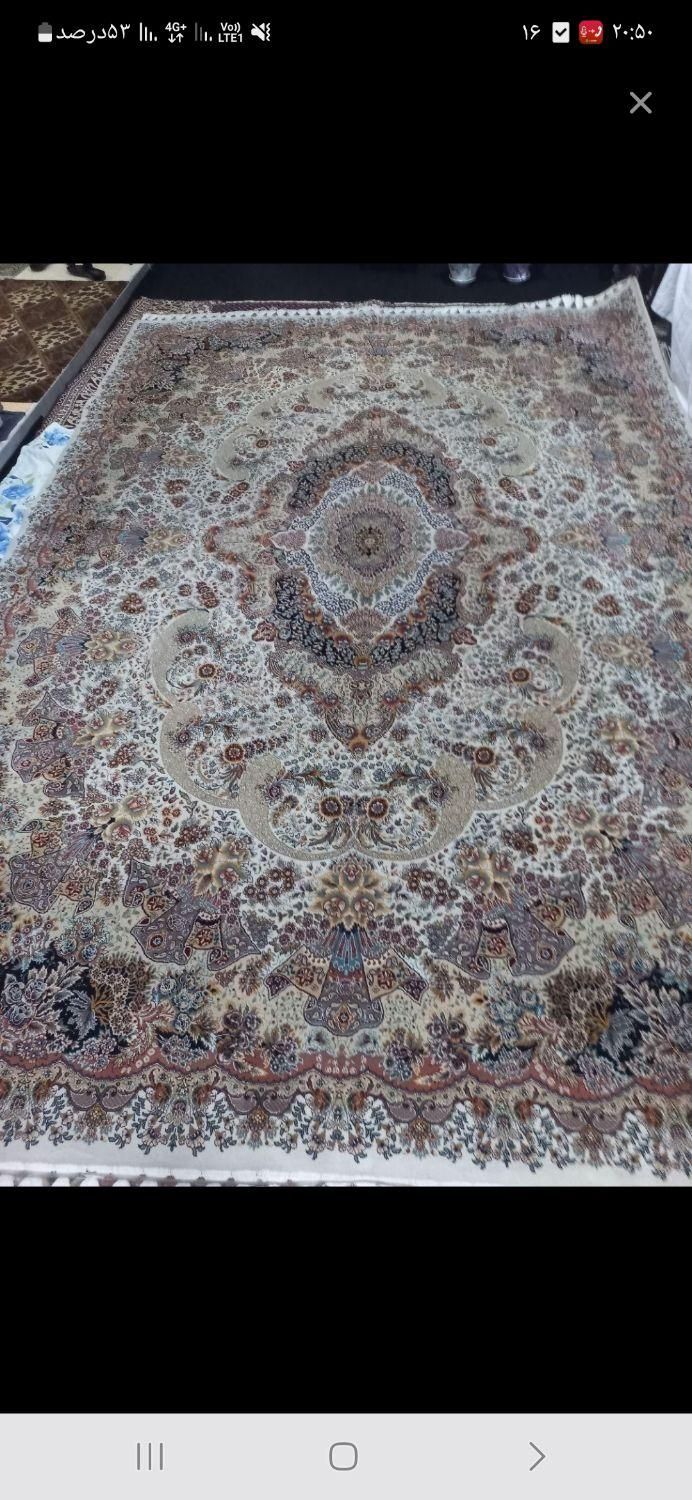 فرش ۹ متری در حد نو|فرش|رشت, استقامت ۲|دیوار