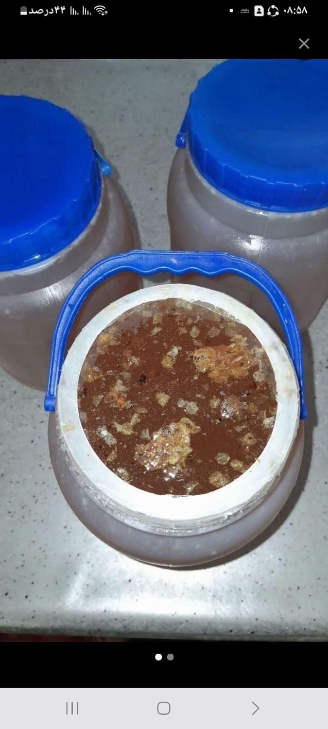 عسل گون|خوردنی و آشامیدنی|اصفهان, عمان سامانی|دیوار