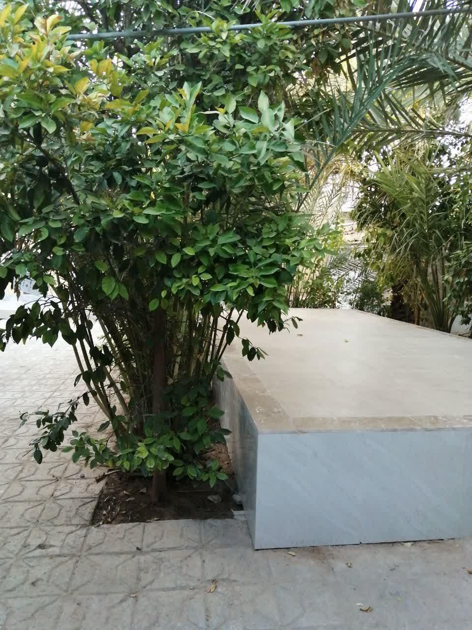 اجاره روزانه/هفتگی/ماهانه آپارتمان ۹۰ متری|اجارهٔ کوتاه‌مدت آپارتمان و سوئیت|طبس, |دیوار
