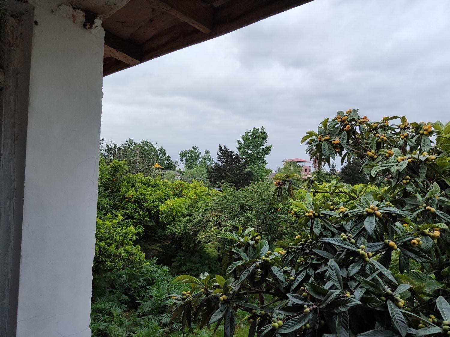 اجاره سوییت جنگلی نزدیک دریاـ پارکینگ|اجارهٔ کوتاهمدت آپارتمان و سوئیت|چالوس, |دیوار