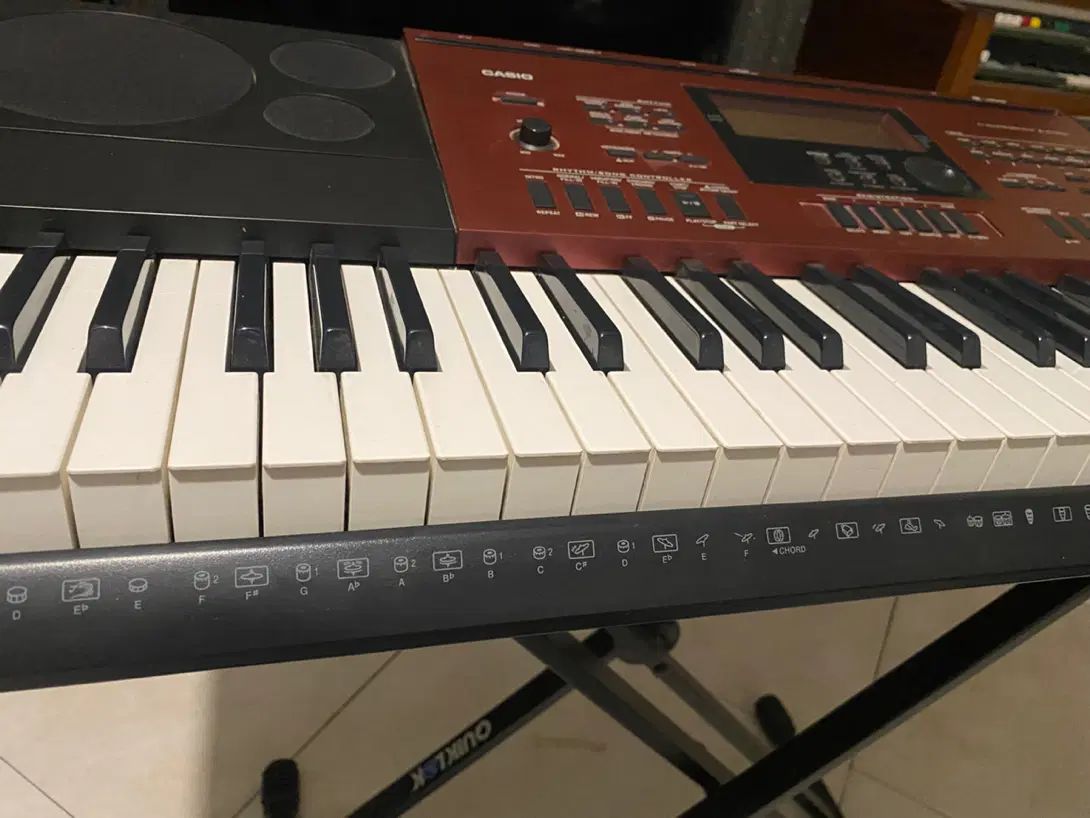 ارگ حرفه ای پیانویی کاسیو CTK-6250 نسل جدید|پیانو، کیبورد، آکاردئون|تهران, سازمان برنامه جنوبی|دیوار