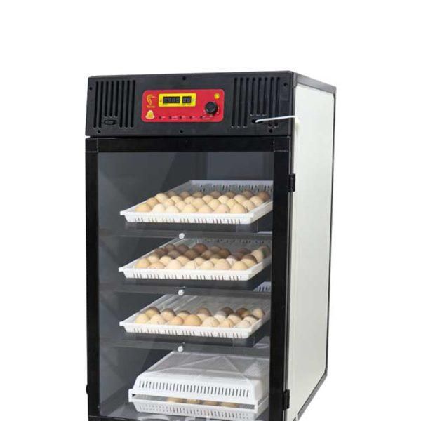 نماینده فروش دستگاه جوجه کشی اسکندری آستانه اشرفیه|لوازم جانبی حیوانات|آستانه اشرفیه, |دیوار