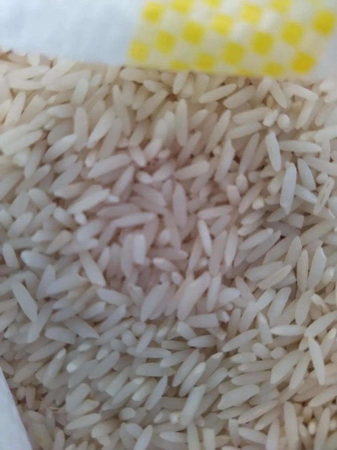 برنج هاشمی اصل ۱۴۰۴ اعلاء ، لوکس|خوردنی و آشامیدنی|رشت, پیرکلاچای|دیوار
