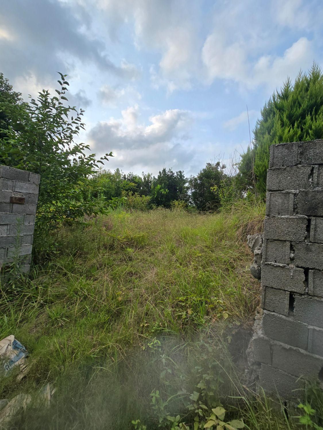 فروش زمین با پروانه ساختمان در رضامحله|فروش زمین و ملک کلنگی|کلاچای, |دیوار