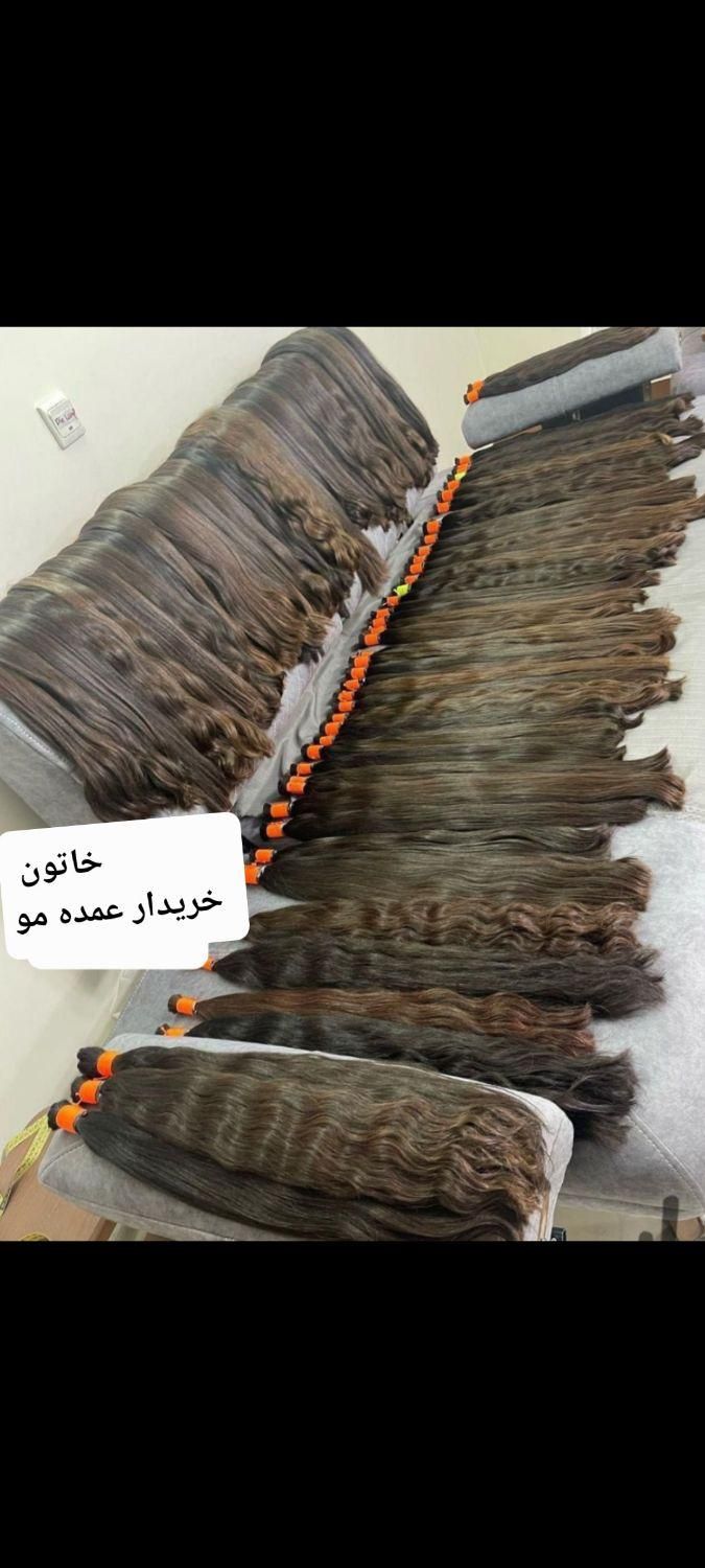 خرید مو مرکز اصلی در نورآبادمعتبرترین مرکزدراستان|خدمات آرایشگری و زیبایی|نورآباد, |دیوار