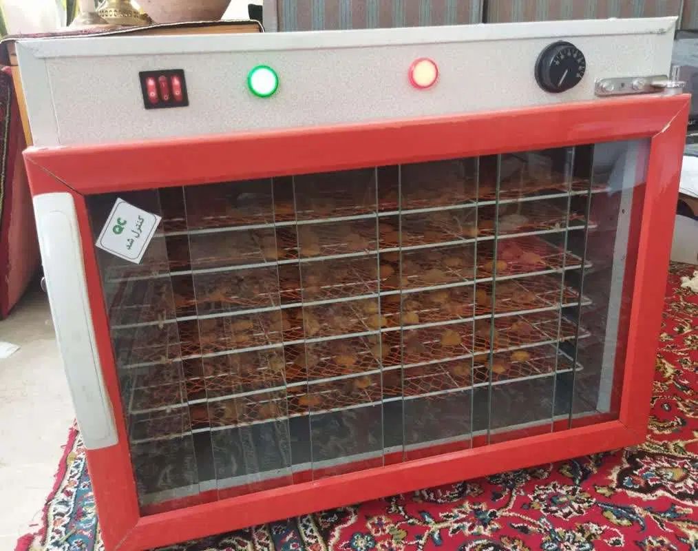 دستگاه میوه و سبزی خشک کن آریا سازه 20 کیلو|سایر لوازم برقی|محمودآباد, |دیوار