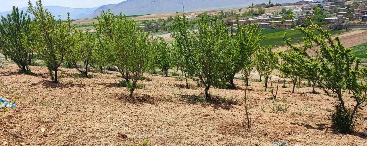 فروش زمین ۲۰۰۰ متری|فروش زمین و ملک کلنگی|داران, |دیوار