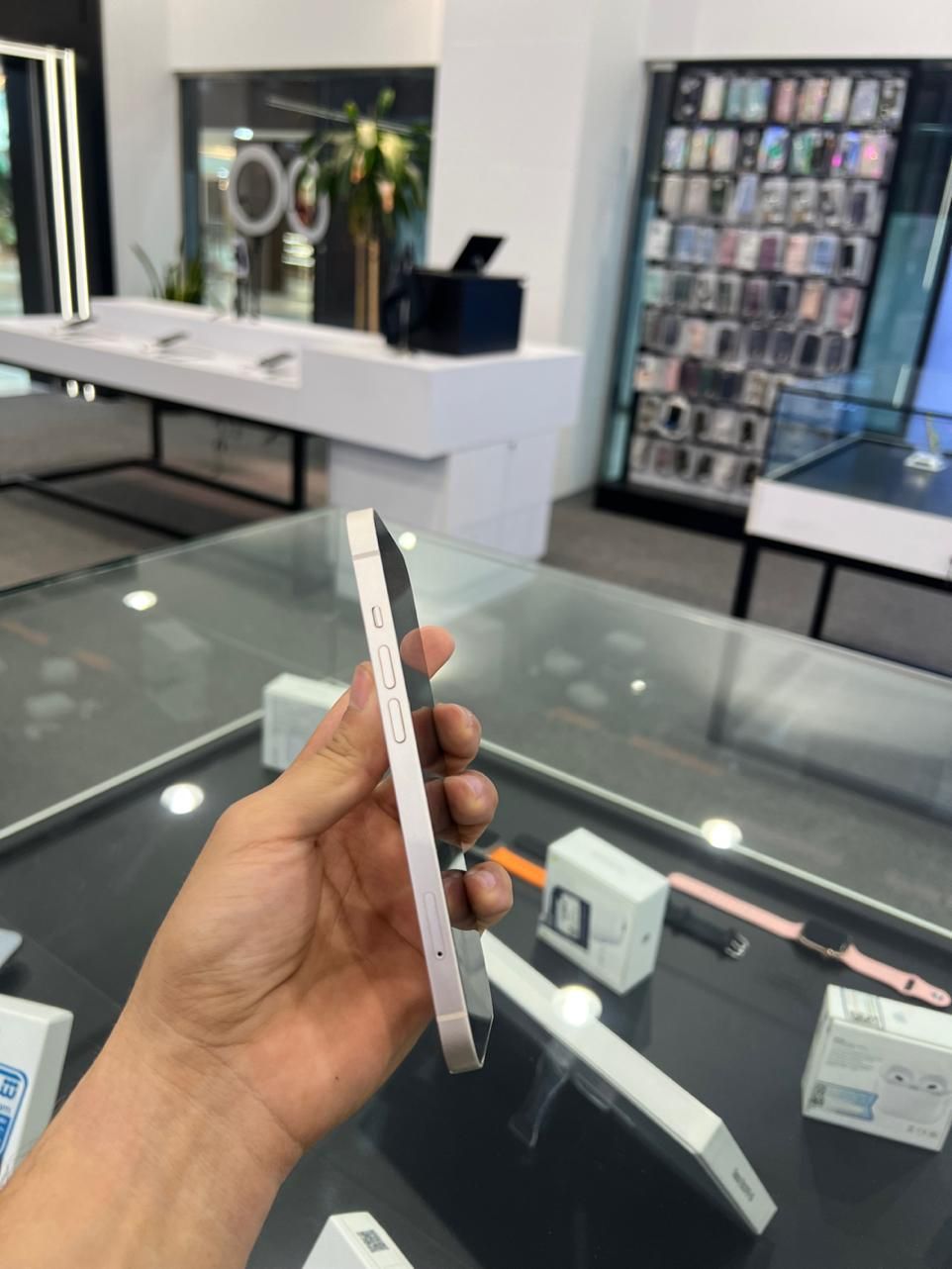 اپل iPhone 13 با حافظهٔ ۱۲۸ گیگابایت اقساط|موبایل|مشهد, فردوسی|دیوار