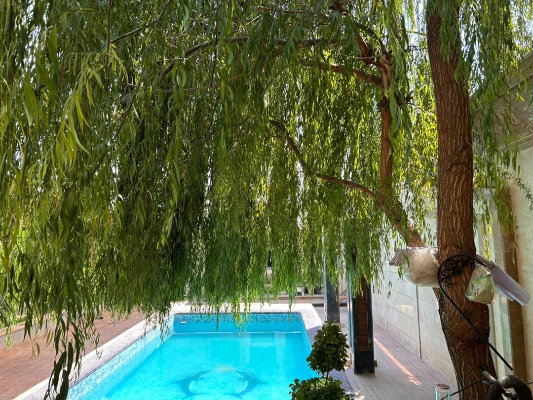 واحد مبله اجودانیه تمیز شمال تهران|اجارهٔ کوتاه‌مدت آپارتمان و سوئیت|تهران, آجودانیه|دیوار
