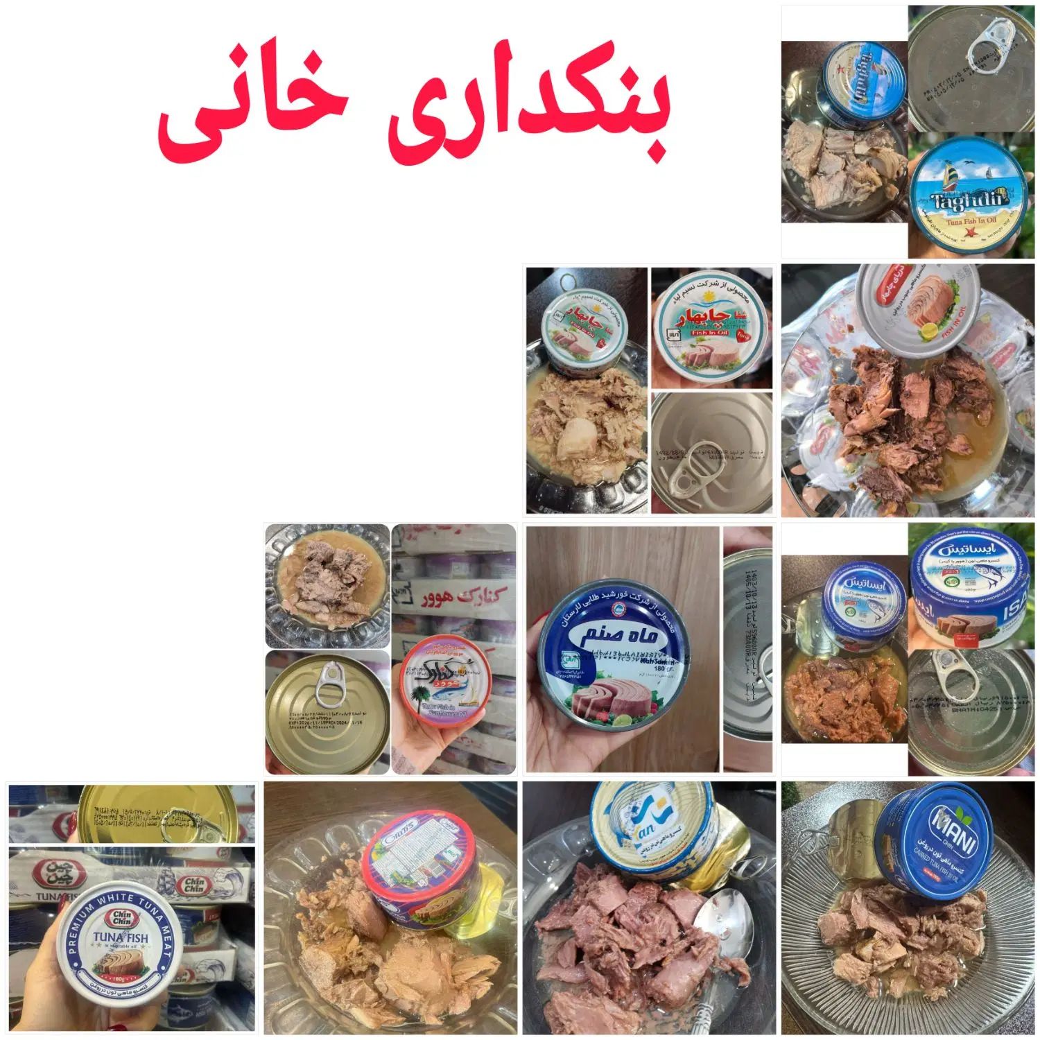 تن ماهی /کنسروتن ماهی /تن ماهی هوور/ماهی|عمده‌فروشی|تهران, هرندی|دیوار