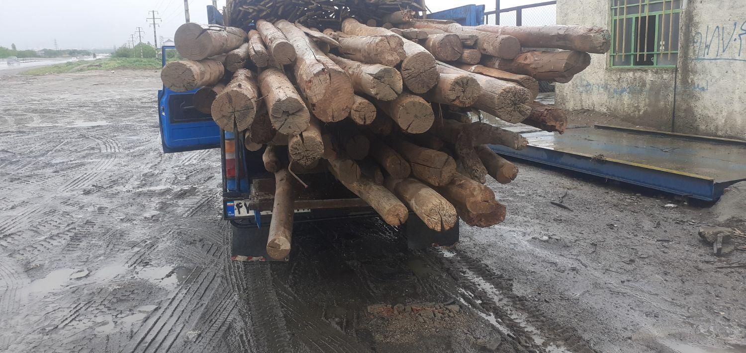 خریدانواع چوب|خدمات باغبانی و درختکاری|تویسرکان, |دیوار