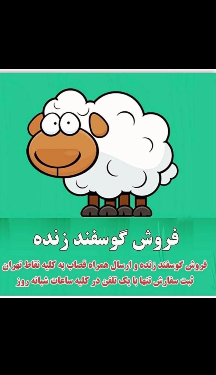 کاروانسرای افشار عرضه دام زنده|حیوانات مزرعه|تهران, امام زاده حسن|دیوار