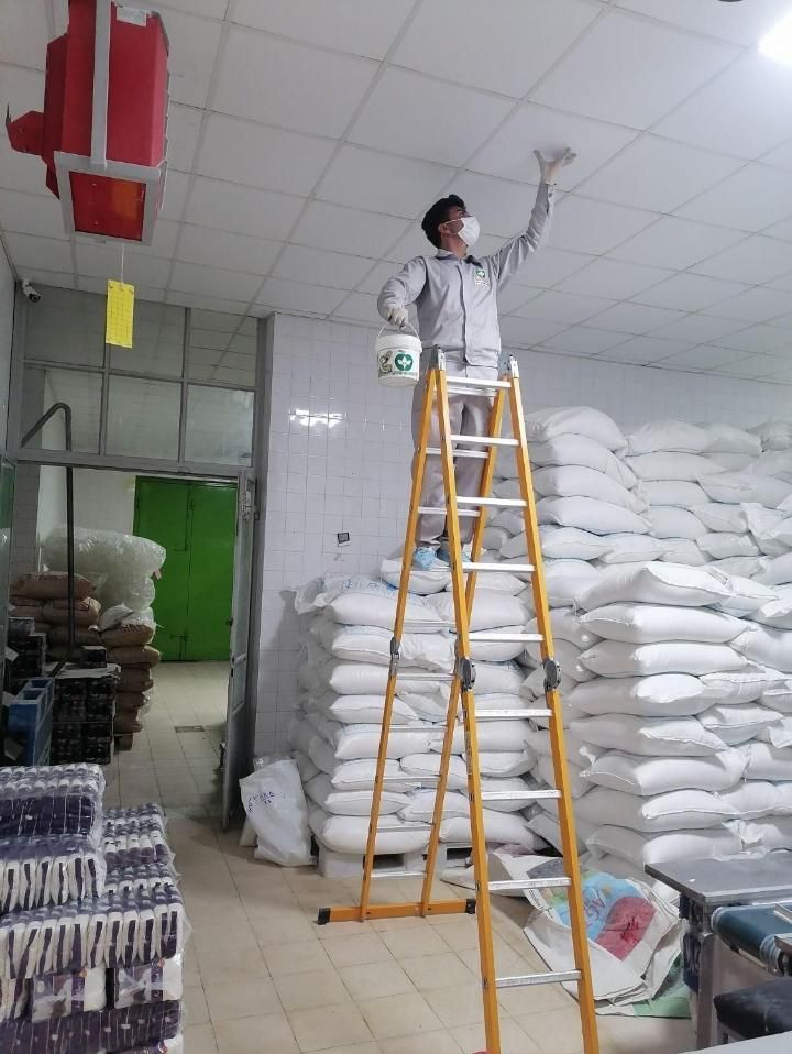 سمپاشی تضمینی موریانه(ریشمیز)ساس سوسک موش کنه|خدمات نظافت|شیراز, فرهنگ شهر|دیوار