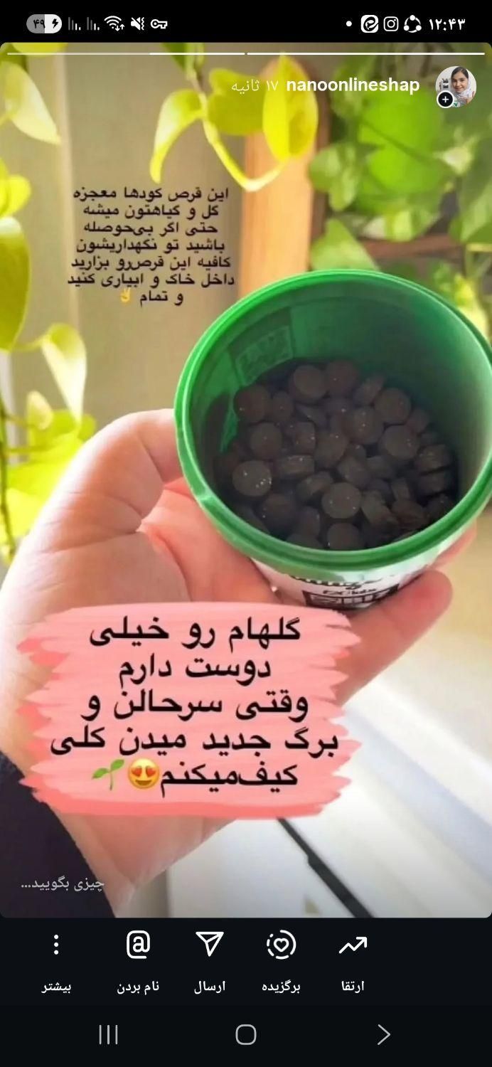 قرص کود ارگانیک گیاهان|گل و گیاه طبیعی|تهران, یافت آباد جنوبی|دیوار