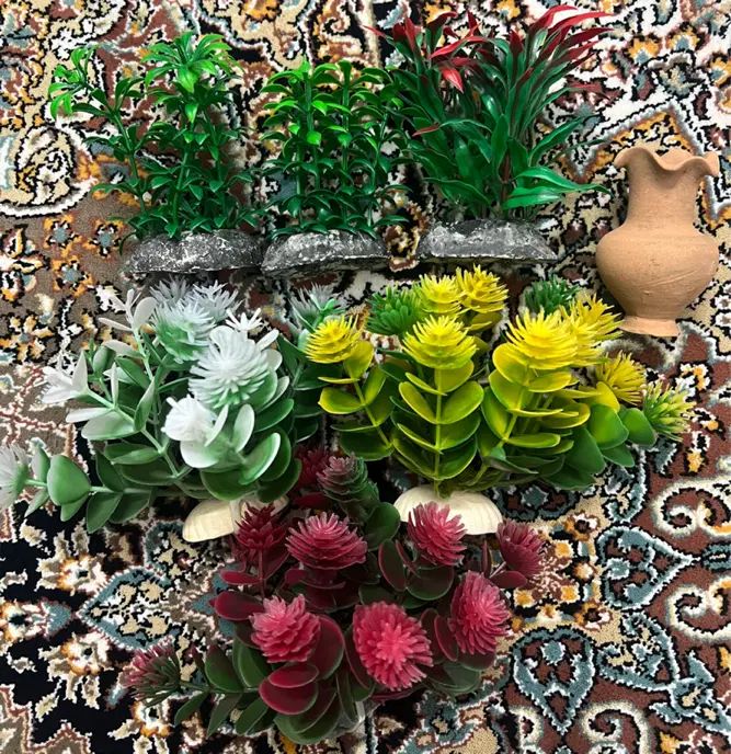 متعلقات آکواریوم|ماهی|اصفهان, مولوی|دیوار