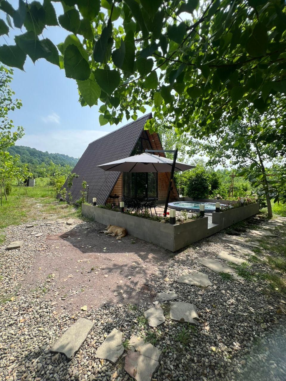 اجاره کلبه سوئیسی برکه و جکوزی داغ لوکیشن دنج عالی|اجارهٔ کوتاهمدت ویلا و باغ|شفت, |دیوار