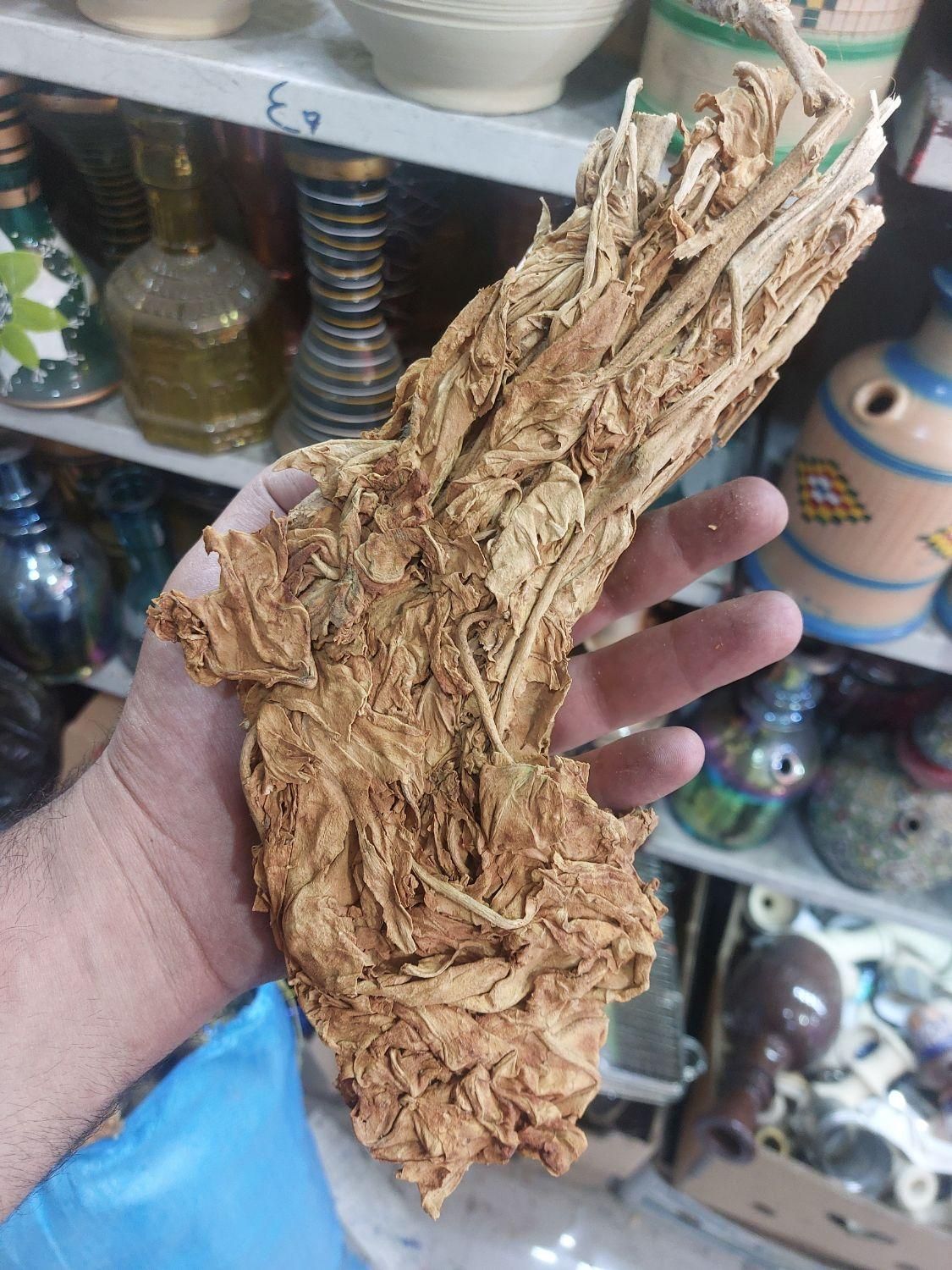 احمد محمودی عطری درجه|کلکسیون و سرگرمی|شیراز, پارک کوهستانی بوستان|دیوار