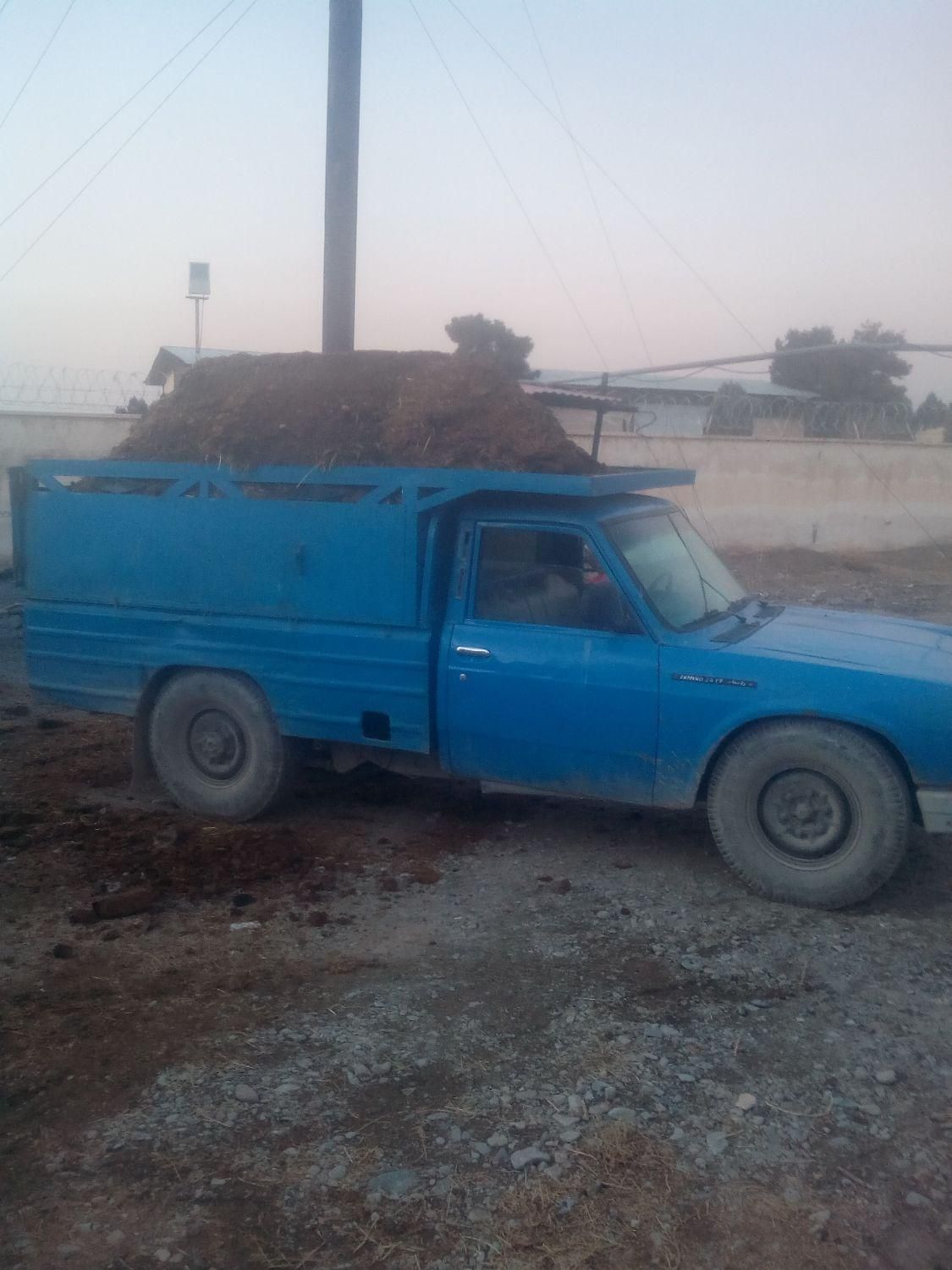 کودگاوی کوسفندی مرغی|خدمات باغبانی و درختکاری|ماهدشت, |دیوار