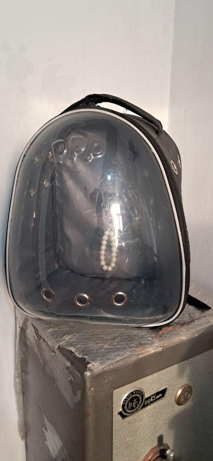 کیف حیوانات در حد نو|لوازم جانبی حیوانات|حویق, |دیوار