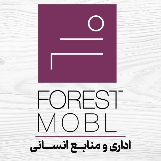 استخدام نجار قطعه ساز و مونتاژ کار کلاف مبلمان|استخدام صنعتی، فنی، مهندسی|شهریار, شهریار|دیوار