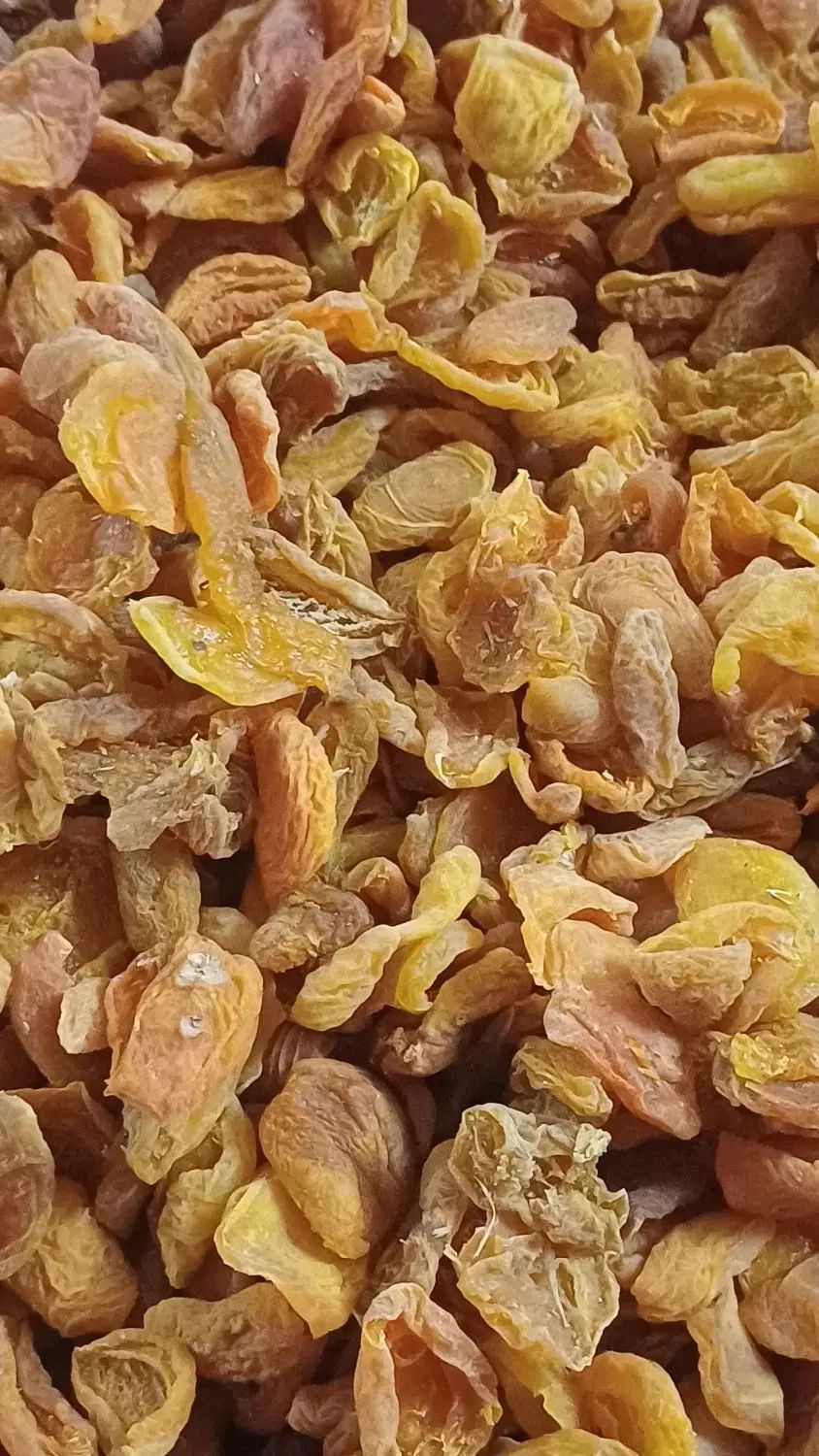پر زردآلو تبریزی سوپر بکر آفتابی درجه یک|خوردنی و آشامیدنی|اصفهان, ملک‌شهر|دیوار