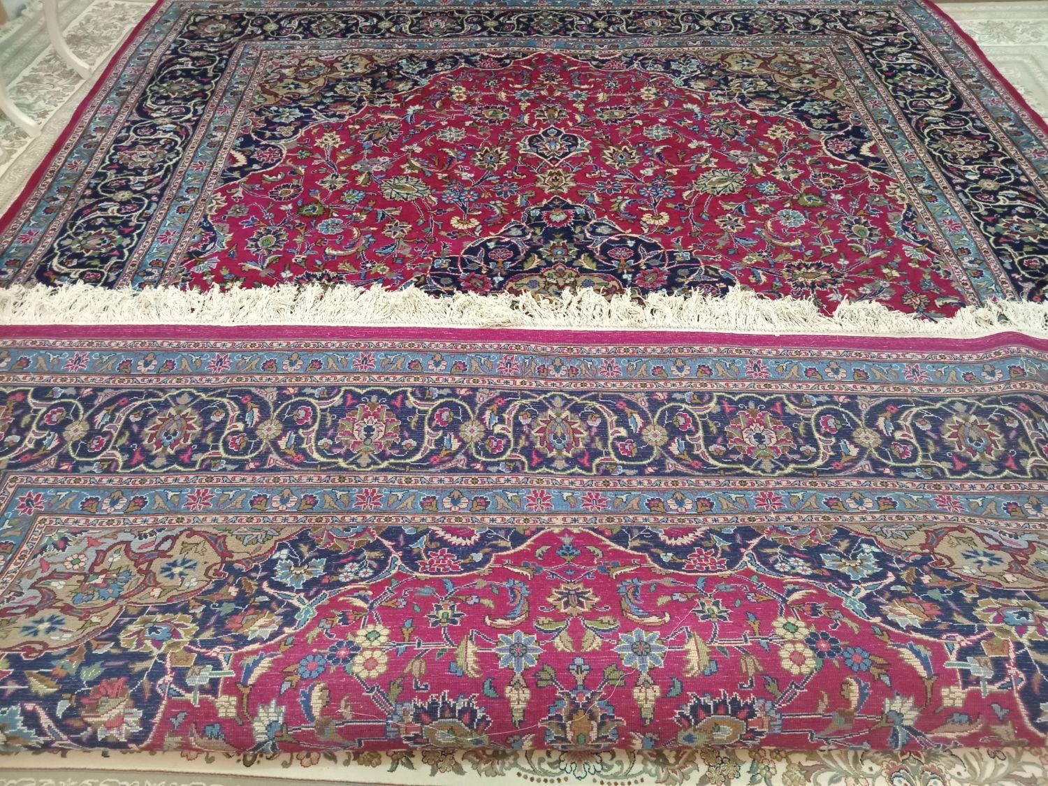 ۲تخته فرش دست باف پشمی|فرش|تربت‌حیدریه, باغ ملی|دیوار