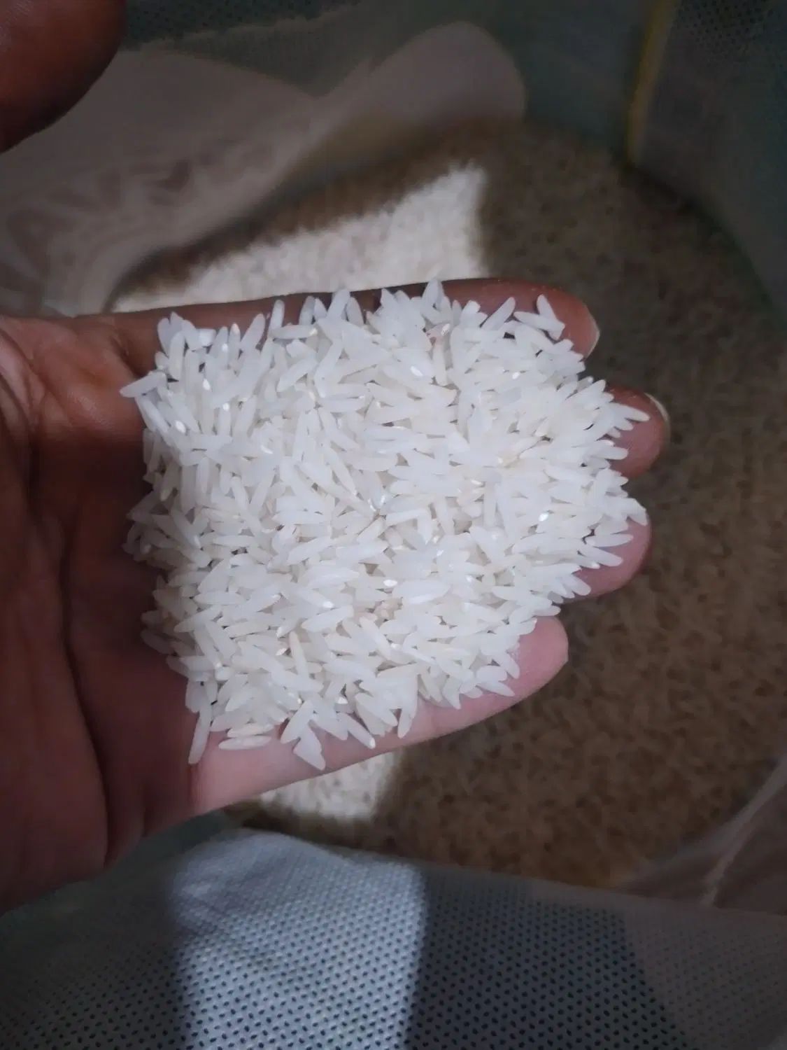 برنج خالص هاشمی|خوردنی و آشامیدنی|رشت, کوی بیانی|دیوار