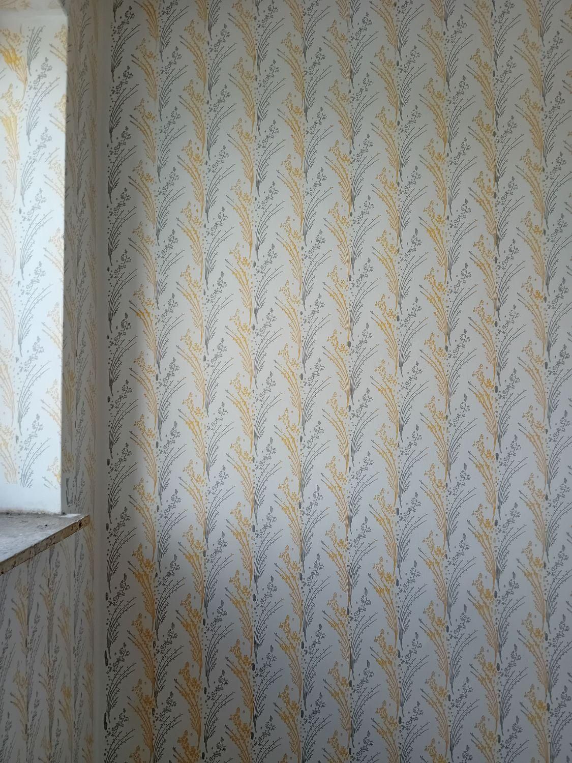 نقاشی طرح کاغذدیواری|خدمات پیشه و مهارت|ارومیه, |دیوار