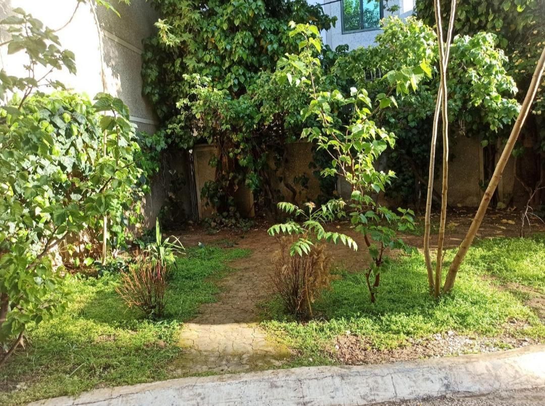 خوابگاه ،پانسیون،اقامتگاه،مهمانپذیر پسرانه ونک|اجارهٔ کوتاهمدت آپارتمان و سوئیت|تهران, ونک|دیوار