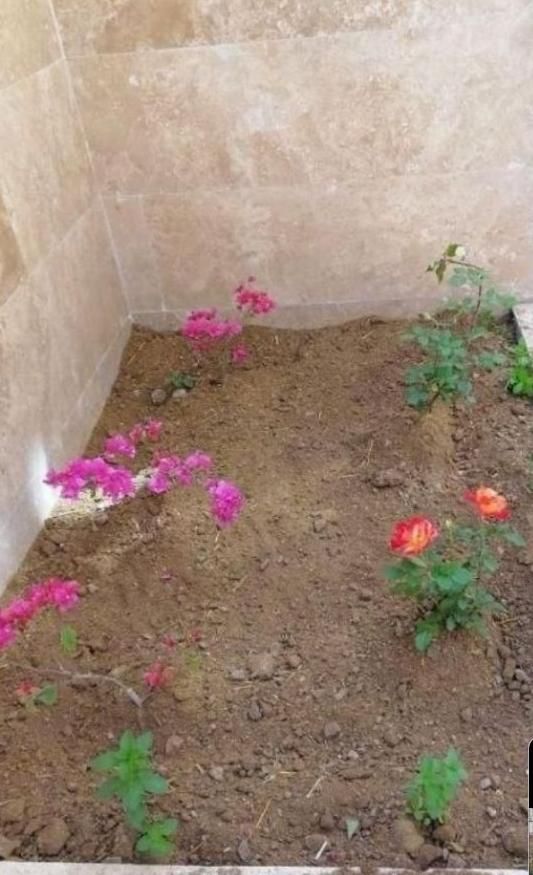 حیوانی کود خاک|لوازم جانبی حیوانات|اهواز, کیانپارس |دیوار