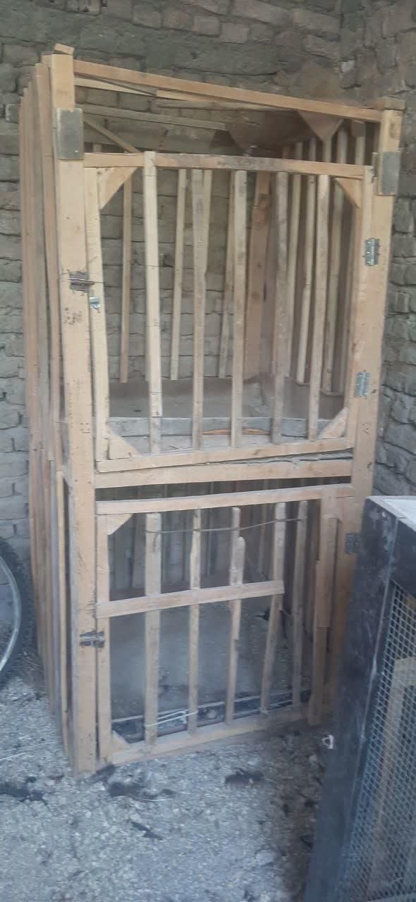 قفس|لوازم جانبی حیوانات|صحنه, |دیوار